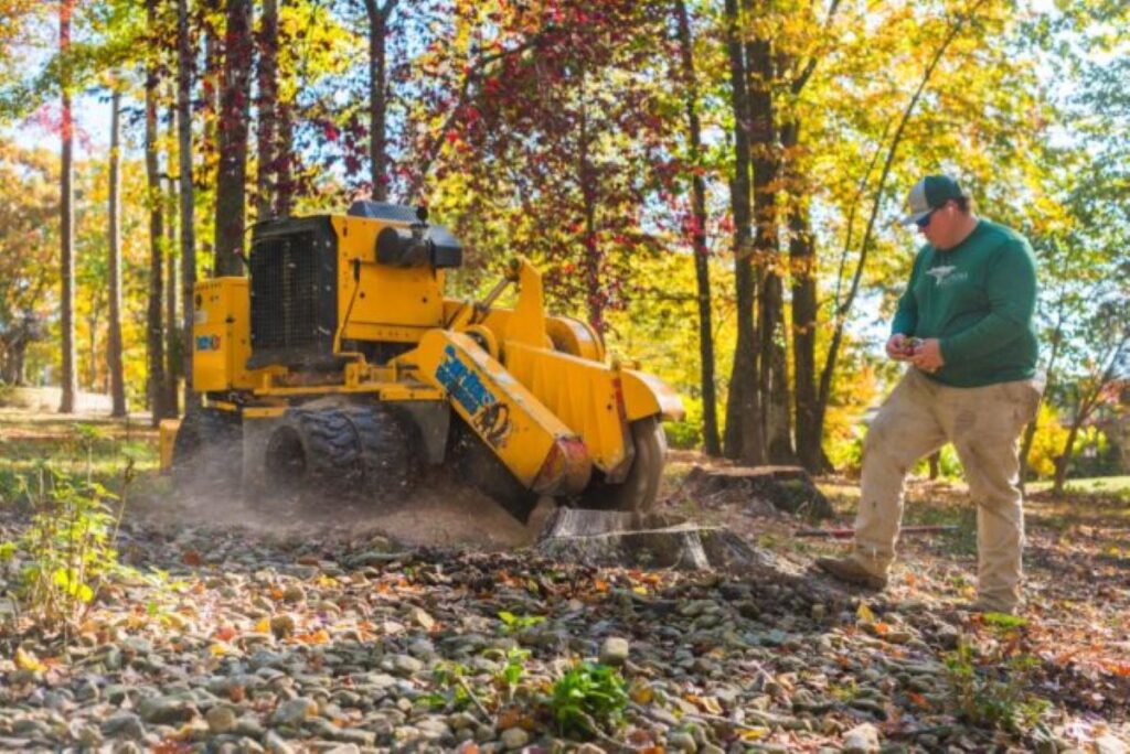 Stump Grinding Service