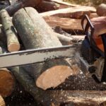 Stump Grinding Service