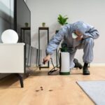 Right Termite Control