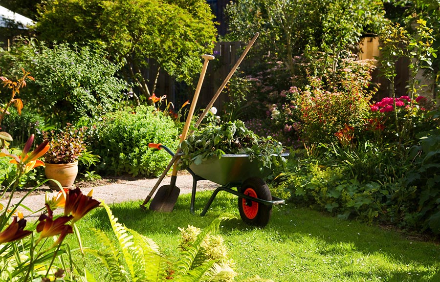 Green Waste Rubbish Removal