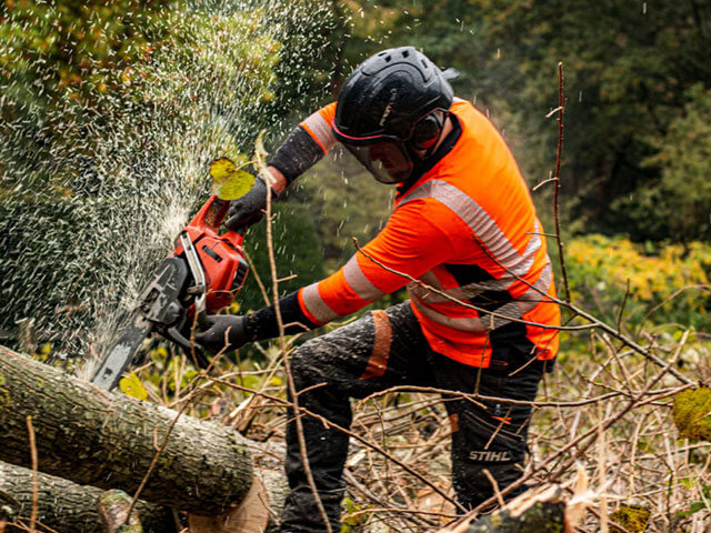 Turramurra Tree Removal