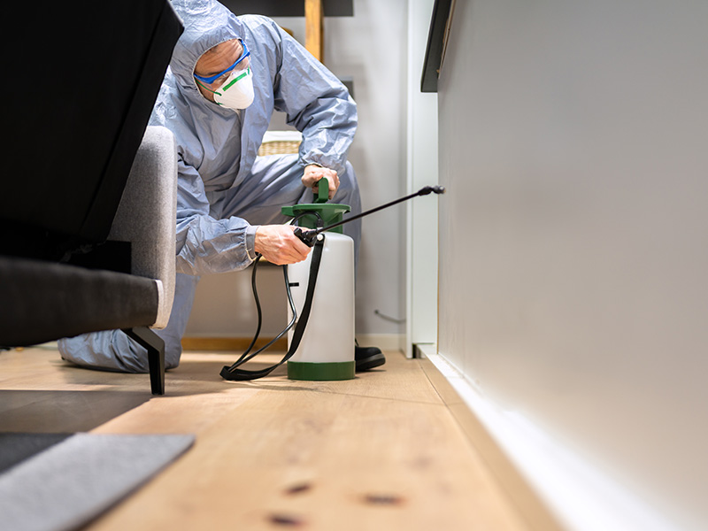 Right Termite Control